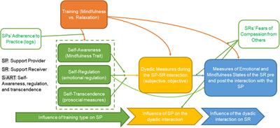 Frontiers Tri Process Model Of Interpersonal Mindfulness Theoretical